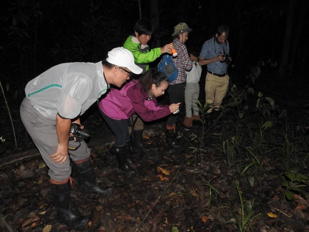 A group of people in a forested area, some holding cameras.