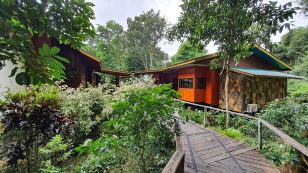 Une maison en bois avec une façade en pierre, entourée d’une végétation luxuriante et accessible par un pont en bois.