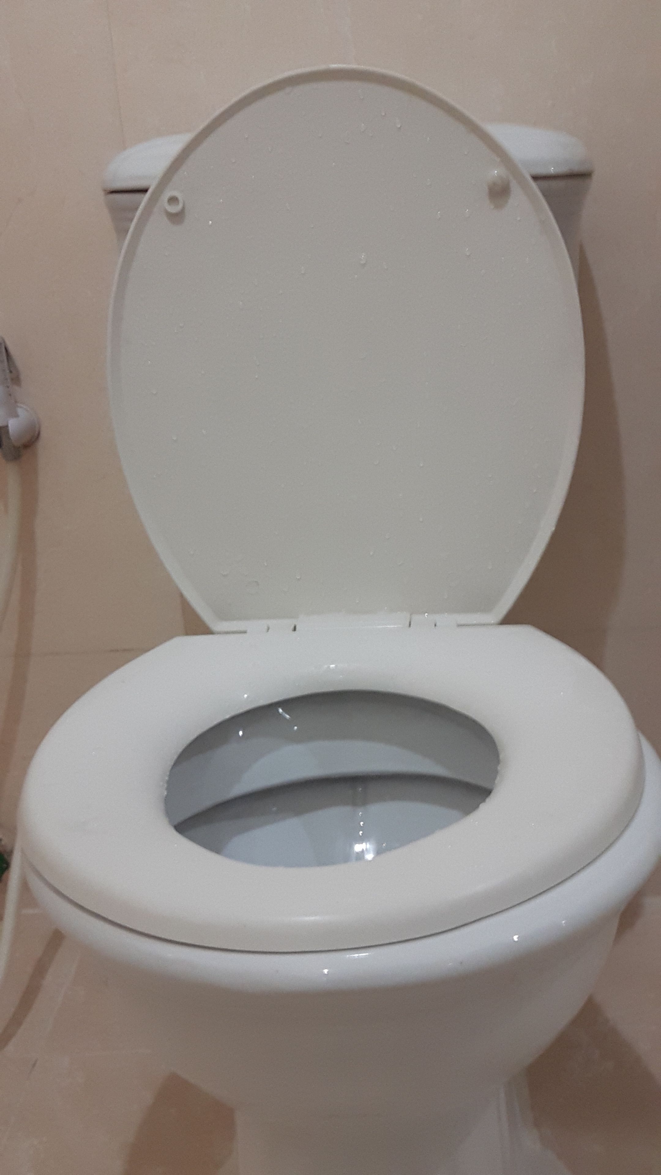 standard single room | bathroom | shower, free toiletries, hair dryer, towels