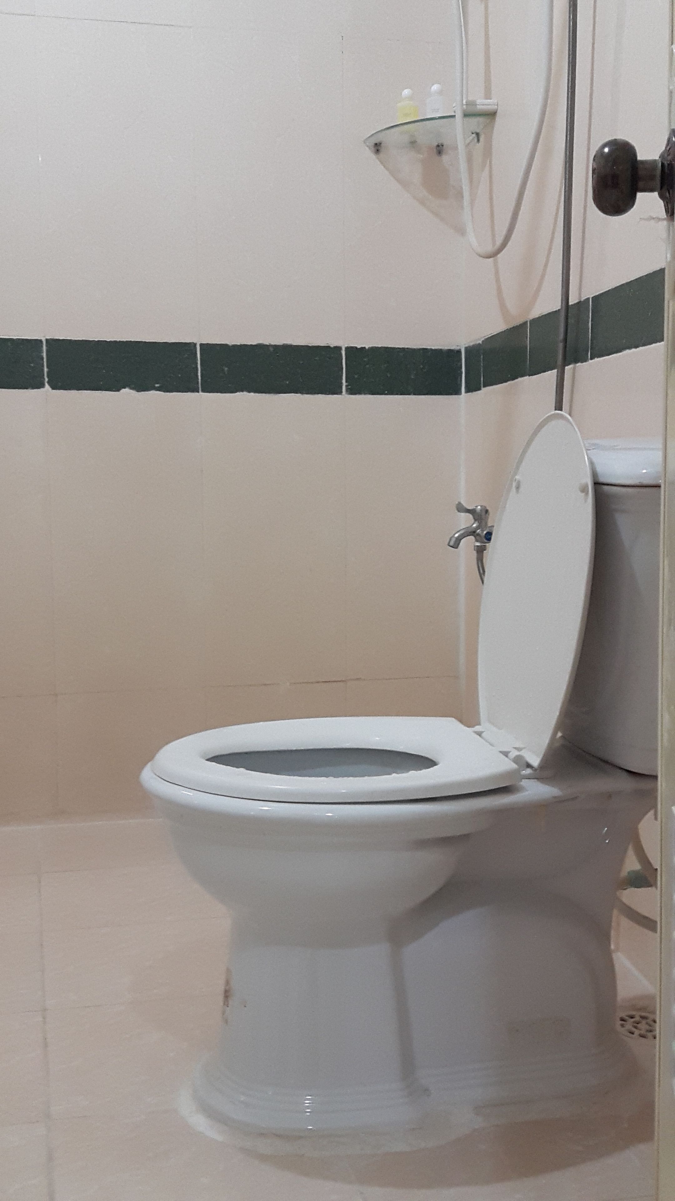 standard single room | bathroom | shower, free toiletries, hair dryer, towels