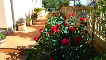Basic-Zimmer | Blick auf den Garten