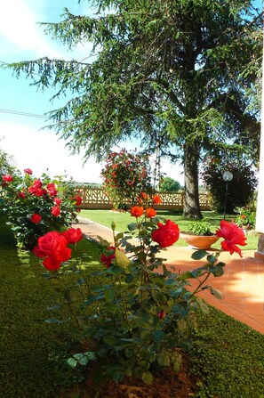 Jardin