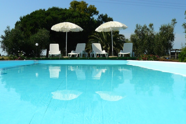 Piscine extérieure (ouverte en saison)