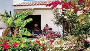 A person sitting at a table in a garden with a white building in the background. - Oasis Hotel Bungalows Rodos  (Rhodes)