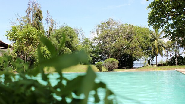 A swimming pool surrounded by lush greenery and trees. - City Hub Lagoon (Negombo)