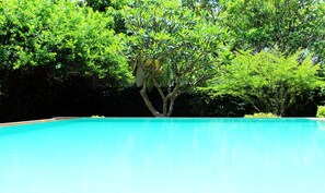 A clear blue swimming pool surrounded by lush green trees. - City Hub Lagoon (Negombo)