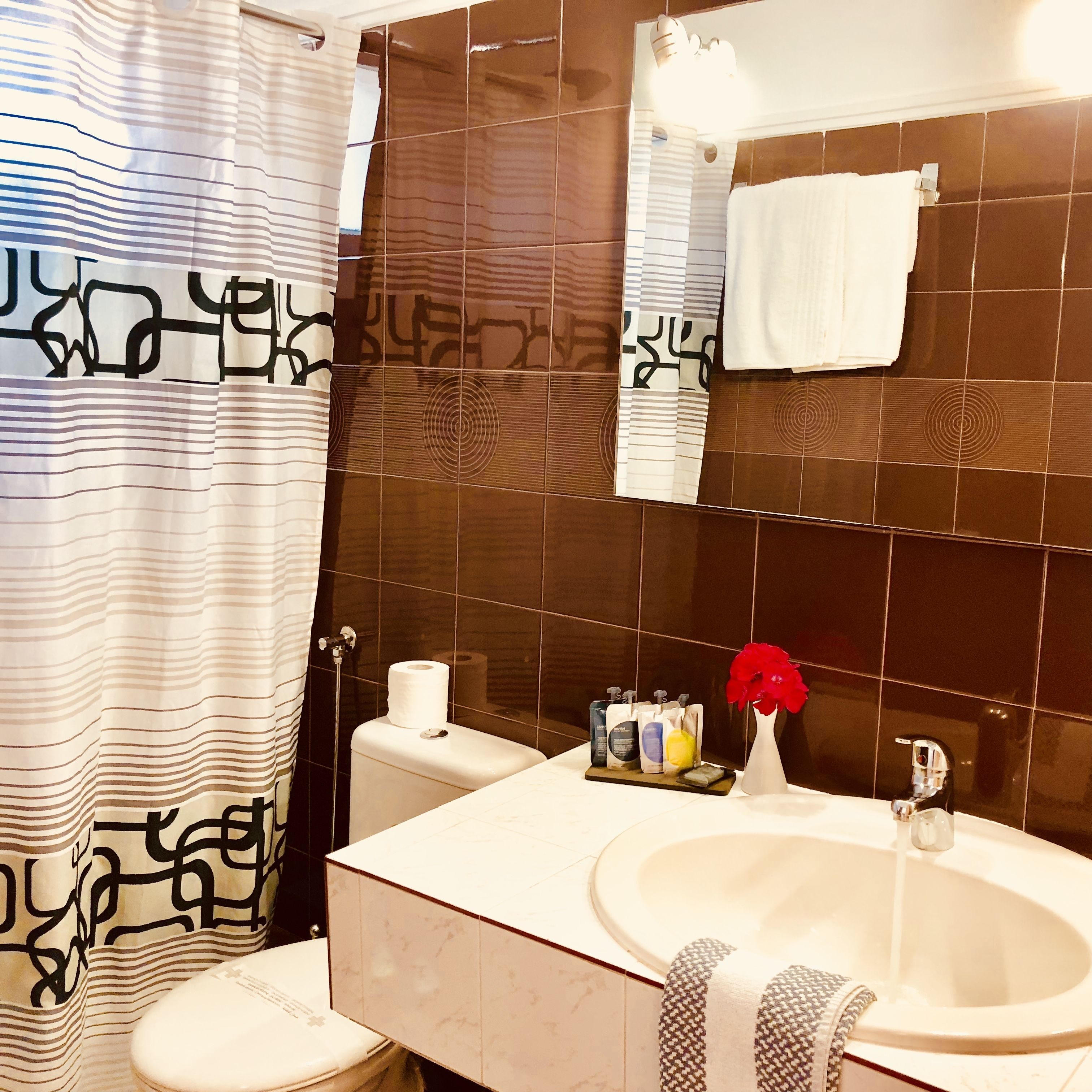 premium double room | bathroom | shower, deep-soaking bathtub, rainfall showerhead, free toiletries