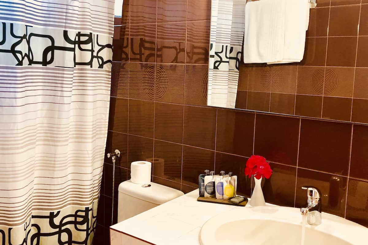 premium double room | bathroom | shower, deep-soaking bathtub, rainfall showerhead, free toiletries