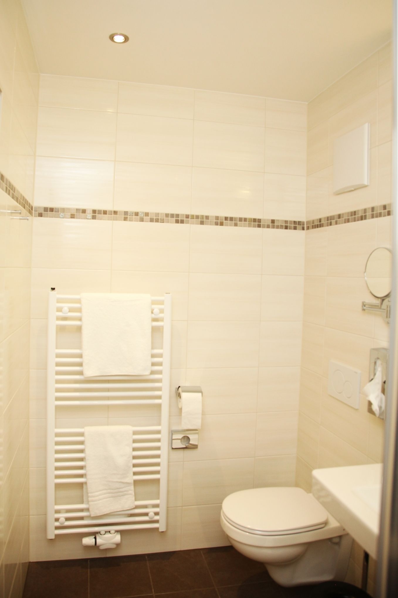 A small, clean bathroom with a toilet, a towel rack, and a mirror.