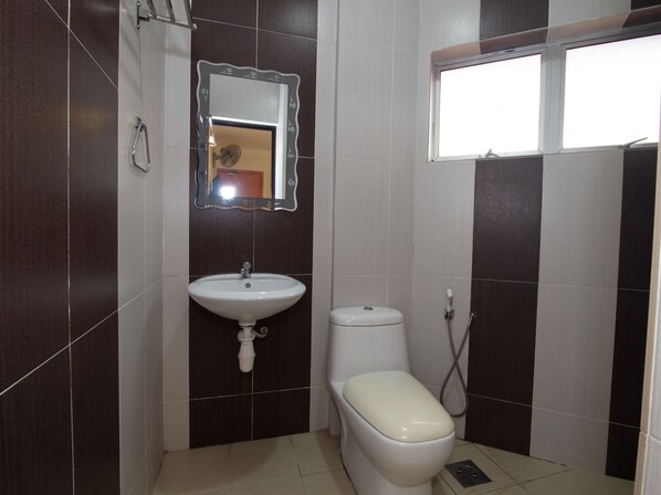 Shower, free toiletries, slippers, bidet