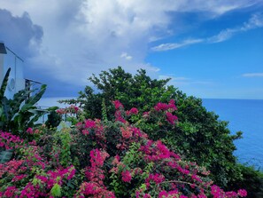 Exterior - Villa Being - Tobago Luxury B&B (Plymouth)