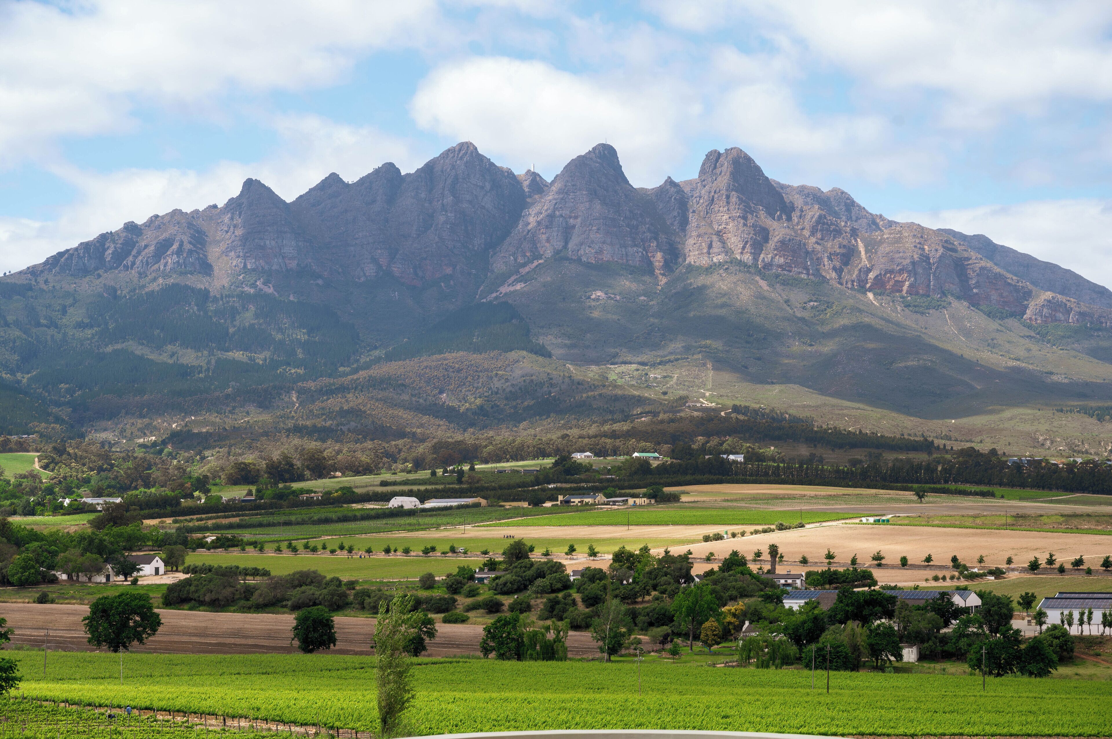 A mountainous landscape with a vineyard and scattered houses.
