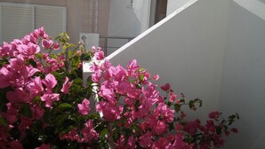 A staircase with a railing, leading to a building with a white exterior.