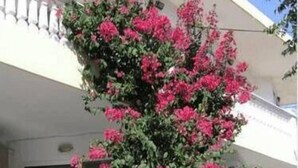 A white building with a balcony and a large bush of pink flowers.