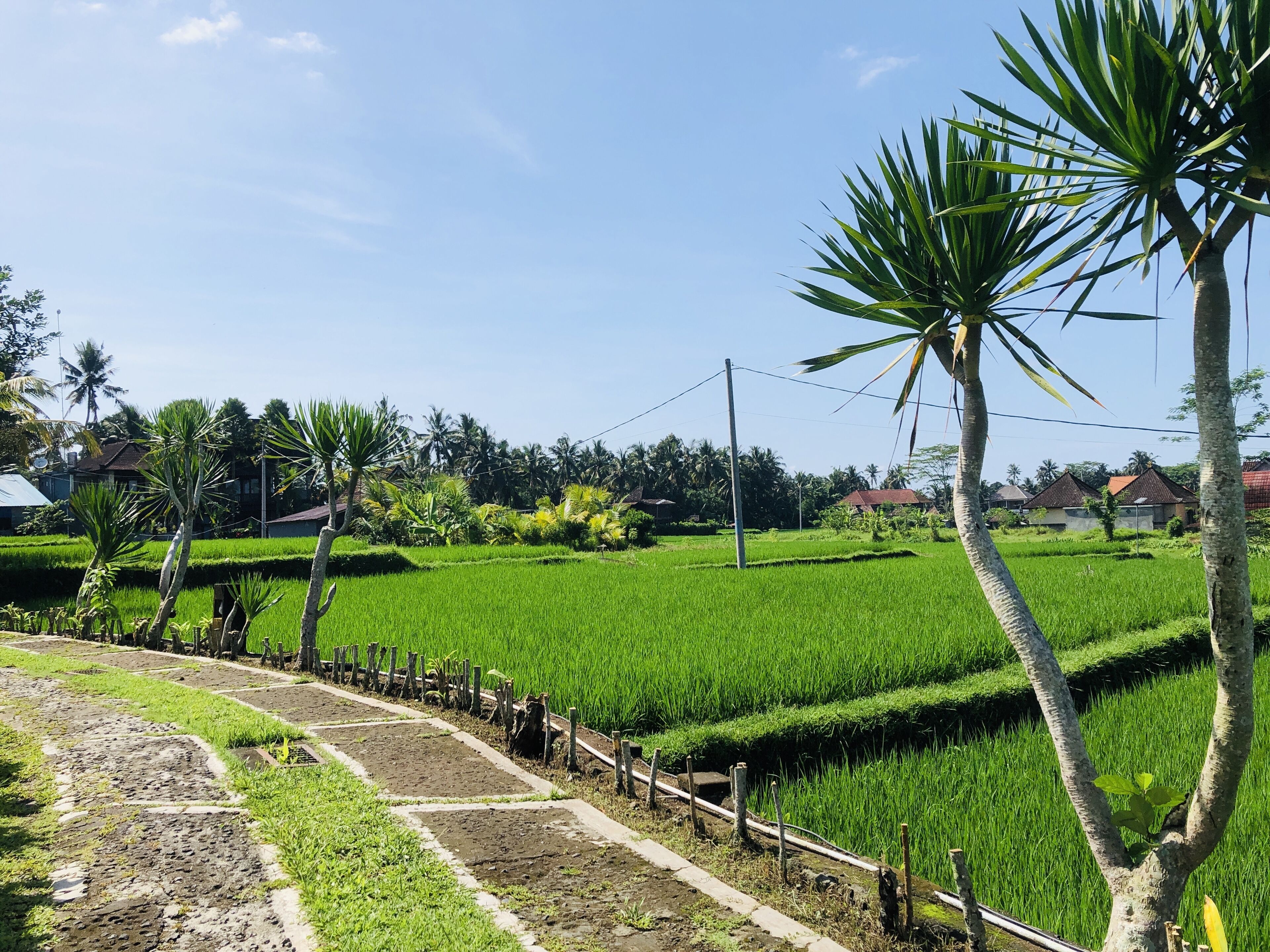 Foto - Villa JJ and Spa Ubud