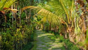 Mặt tiền nơi lưu trú