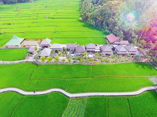 A resort with multiple buildings surrounded by terraced rice fields. - Villa JJ and Spa Ubud (Ubud)