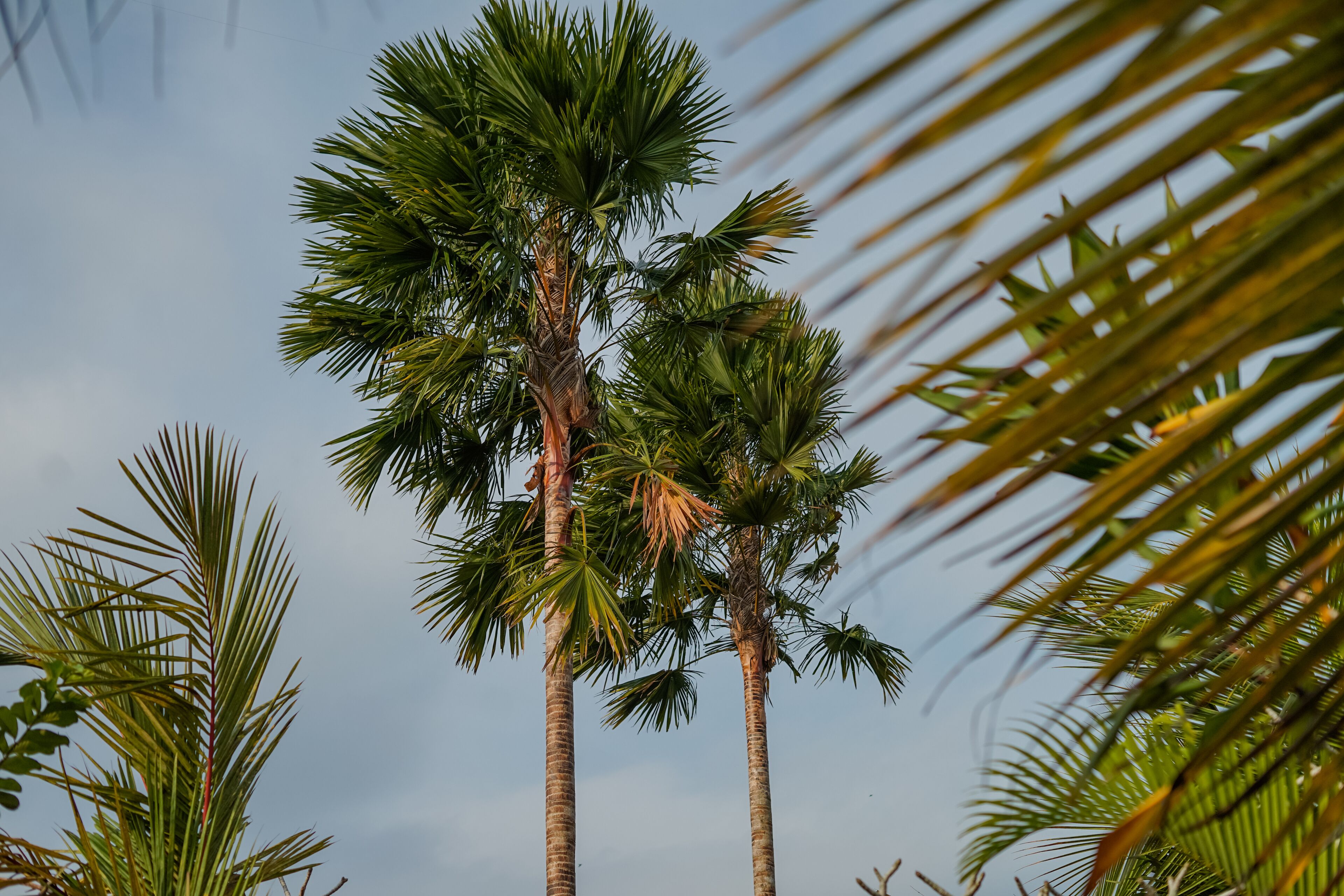 children’s play area – outdoor