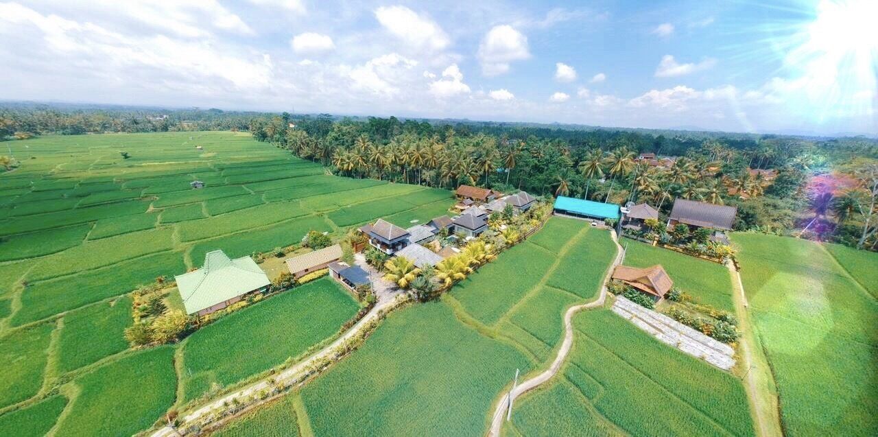 Luxe beddengoed, een minibar met enkele gratis items