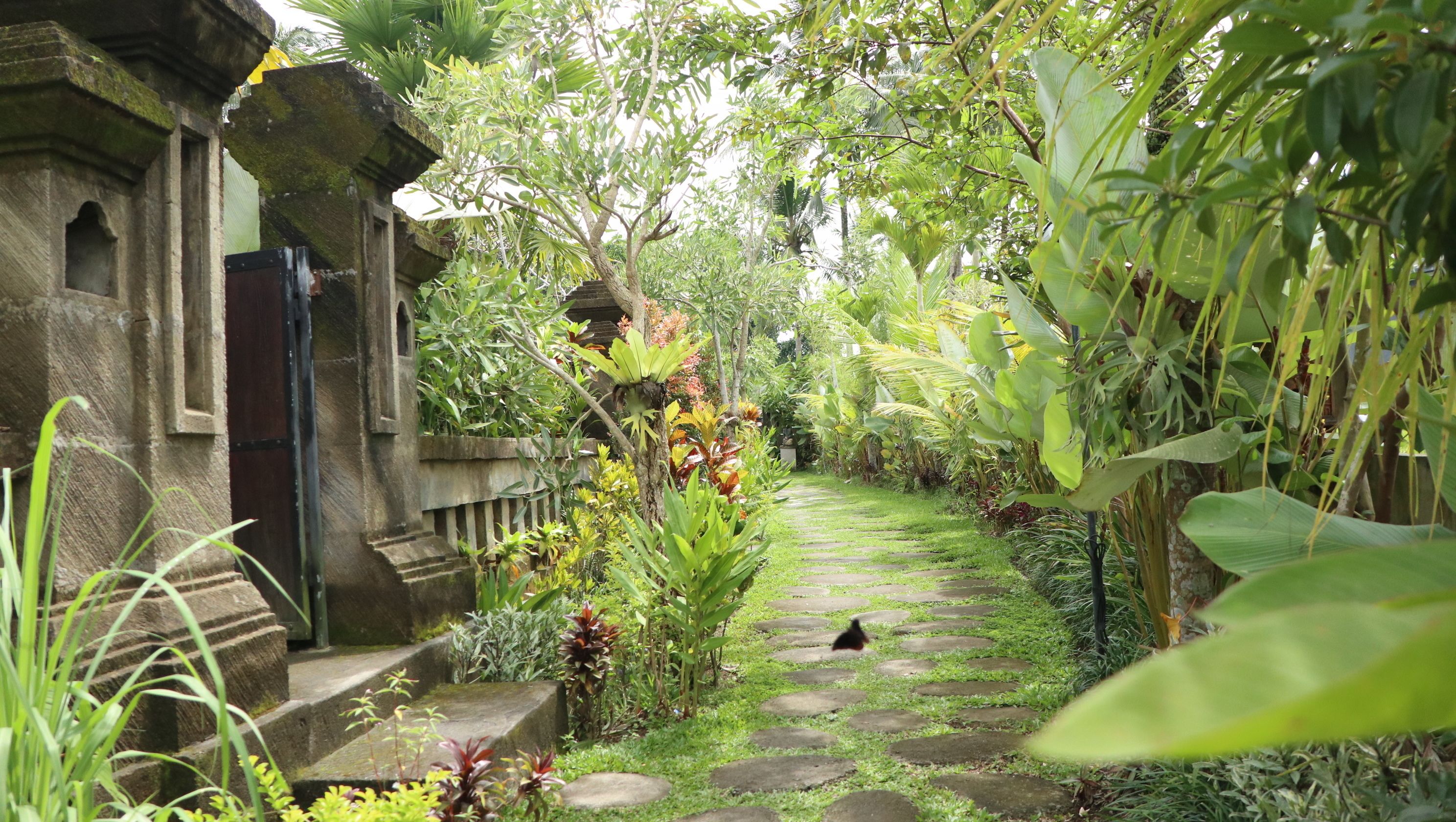 Foto - Villa JJ and Spa Ubud