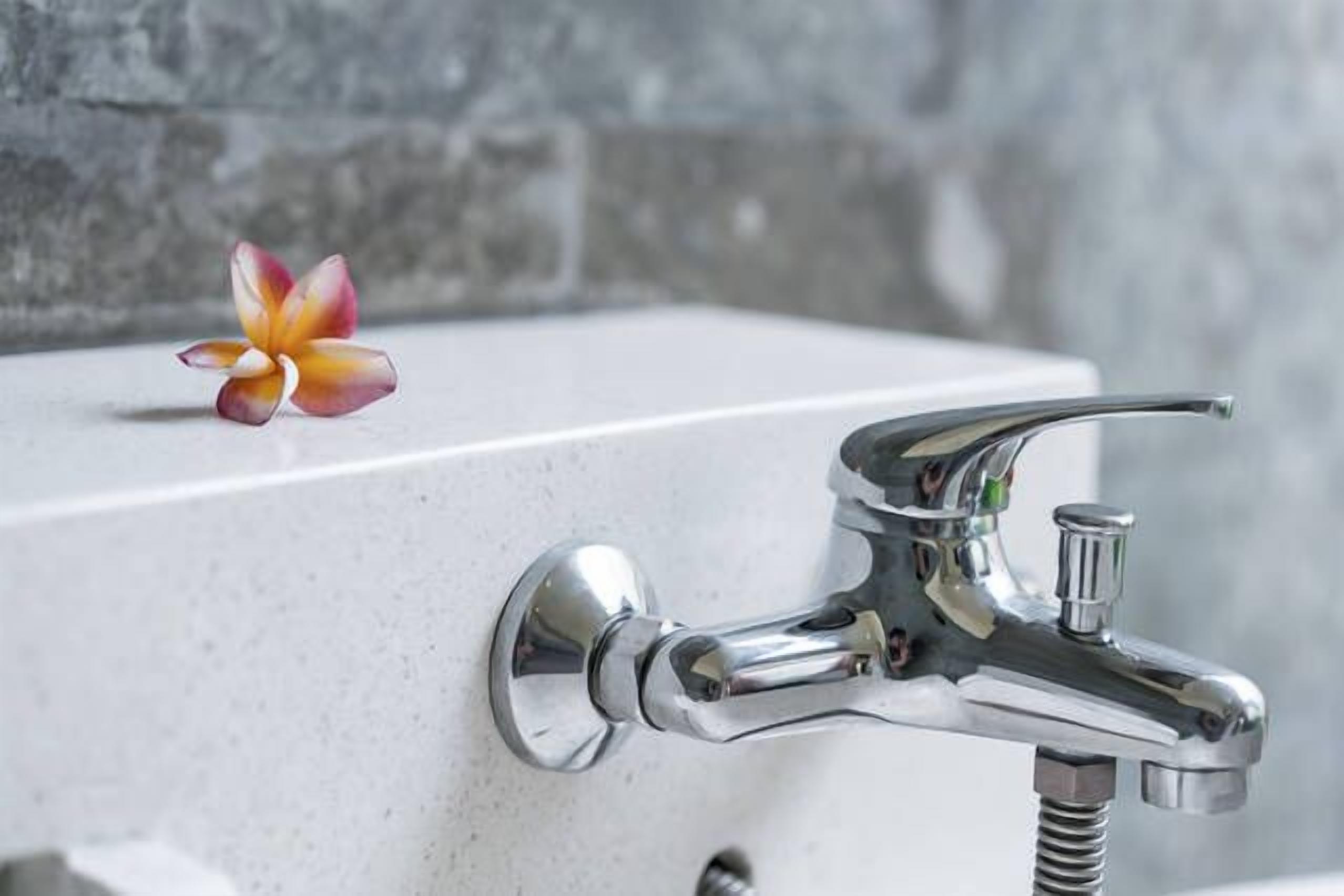 combined shower/bathtub, free toiletries, hair dryer, bathrobes