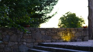 Una escalera de piedra que sube hacia un muro de piedra con una planta en maceta en la parte superior.