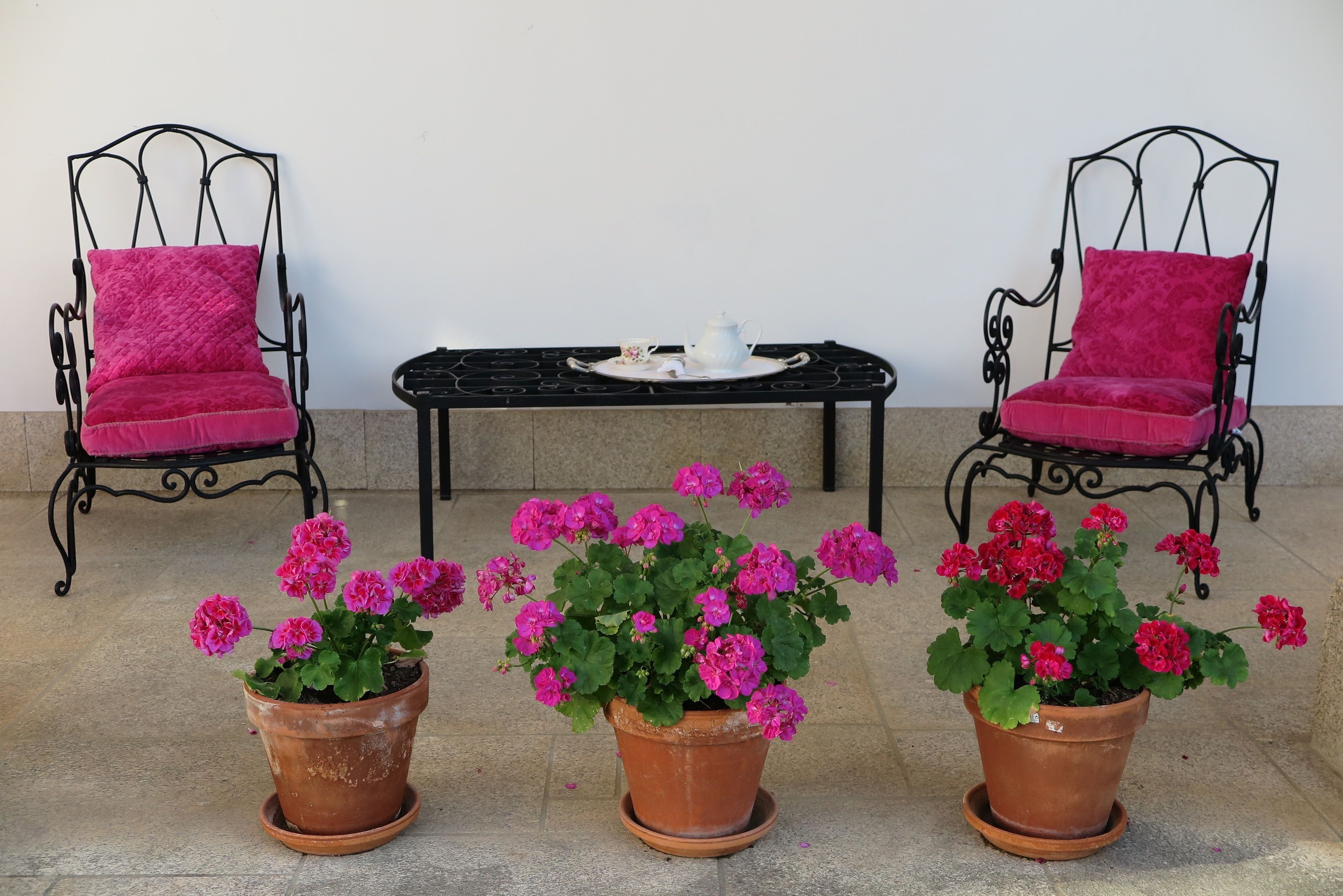 Two black metal chairs with pink cushions, a black table, and three terracotta pots with pink flowers.