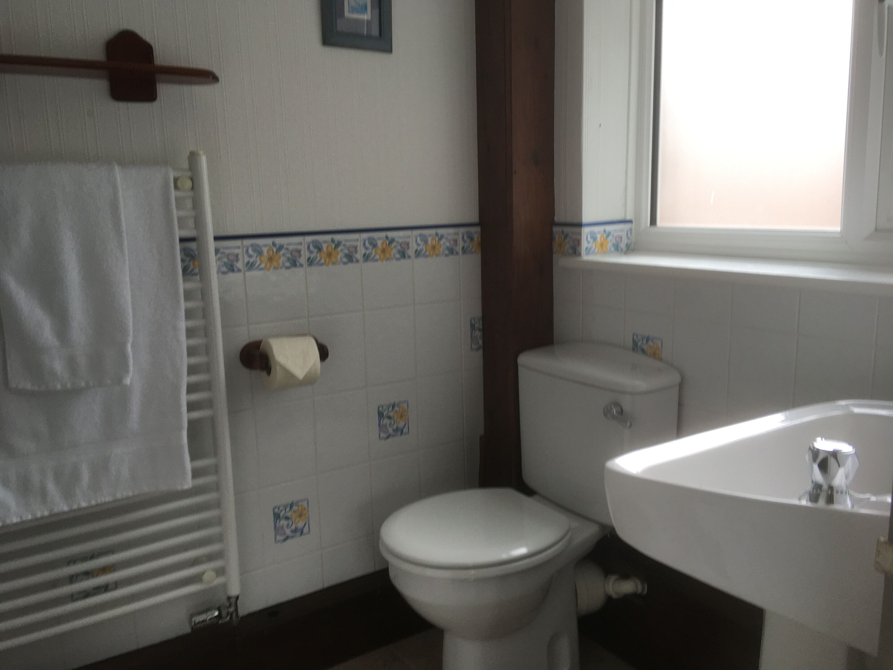 A bathroom with a toilet, sink, and towel rack.