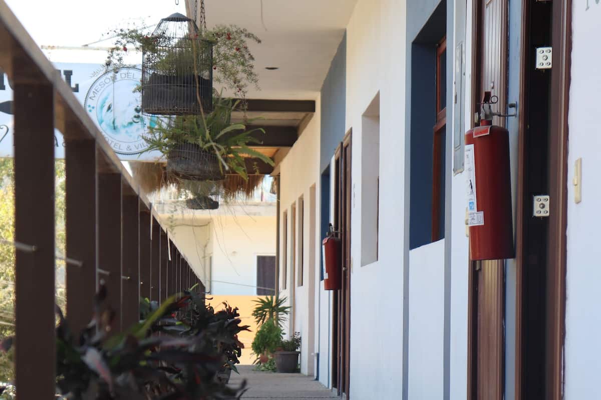 A corridor with potted plants, doors, and fire extinguishers.