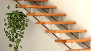 Una escalera de madera con una planta colgante.