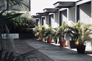 Terrace/patio - Hotel Samanu (Sayulita)