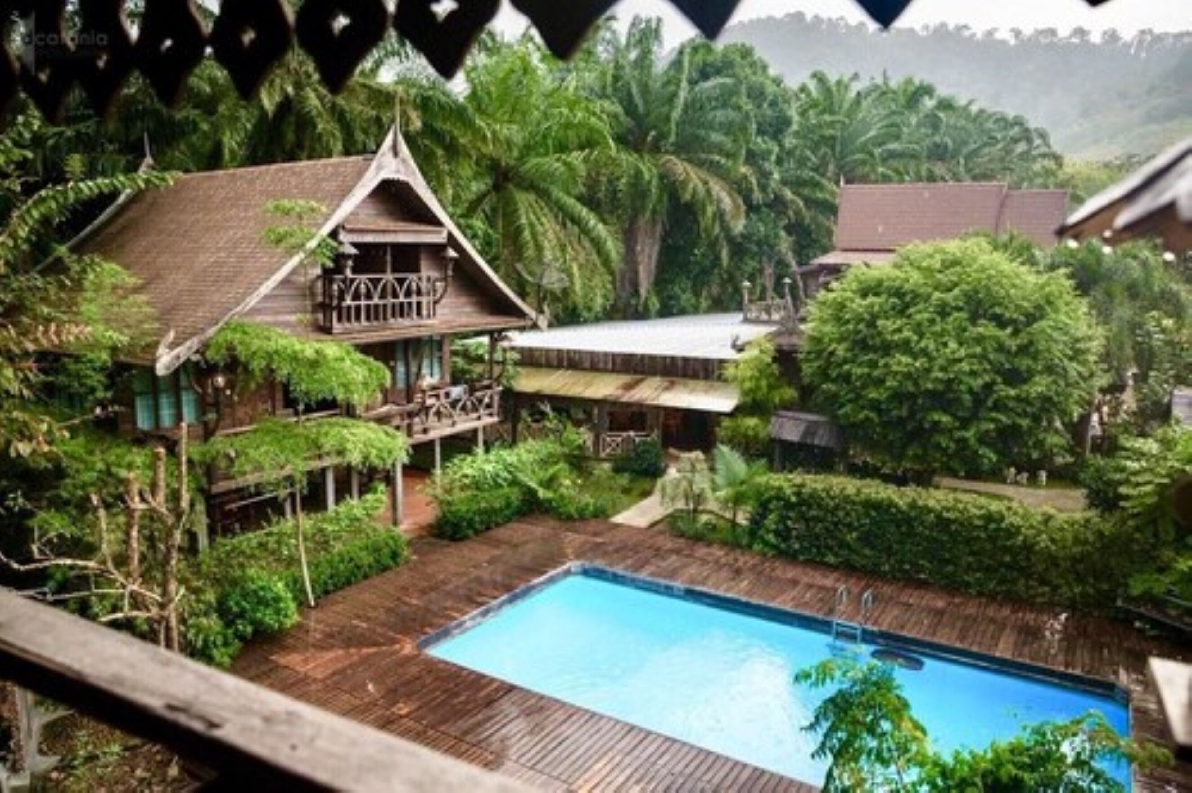 A traditional wooden house with a swimming pool surrounded by lush greenery.