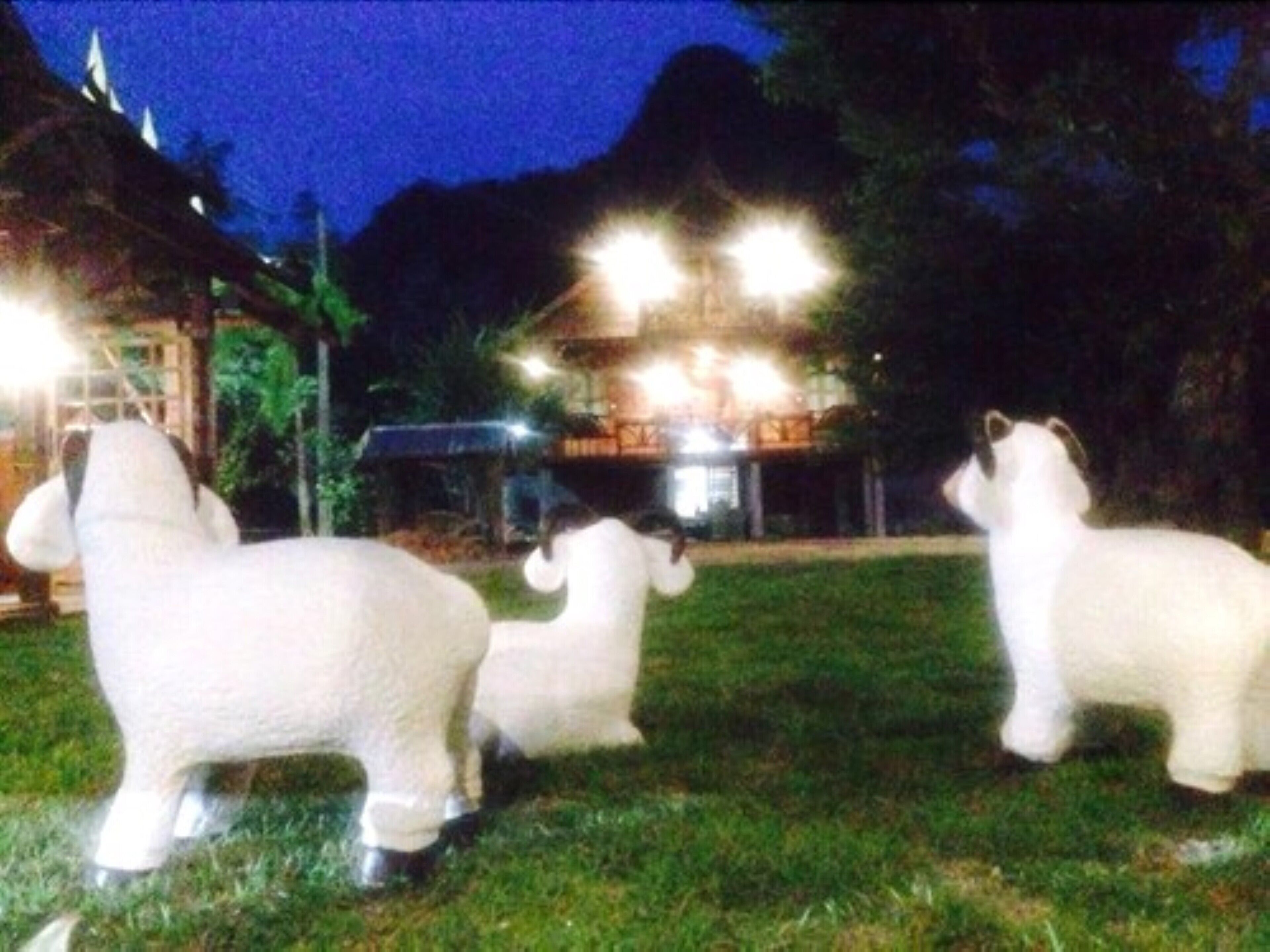 庭園