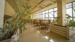 Un comedor amplio con techos altos, ventanas grandes y varias plantas en macetas.