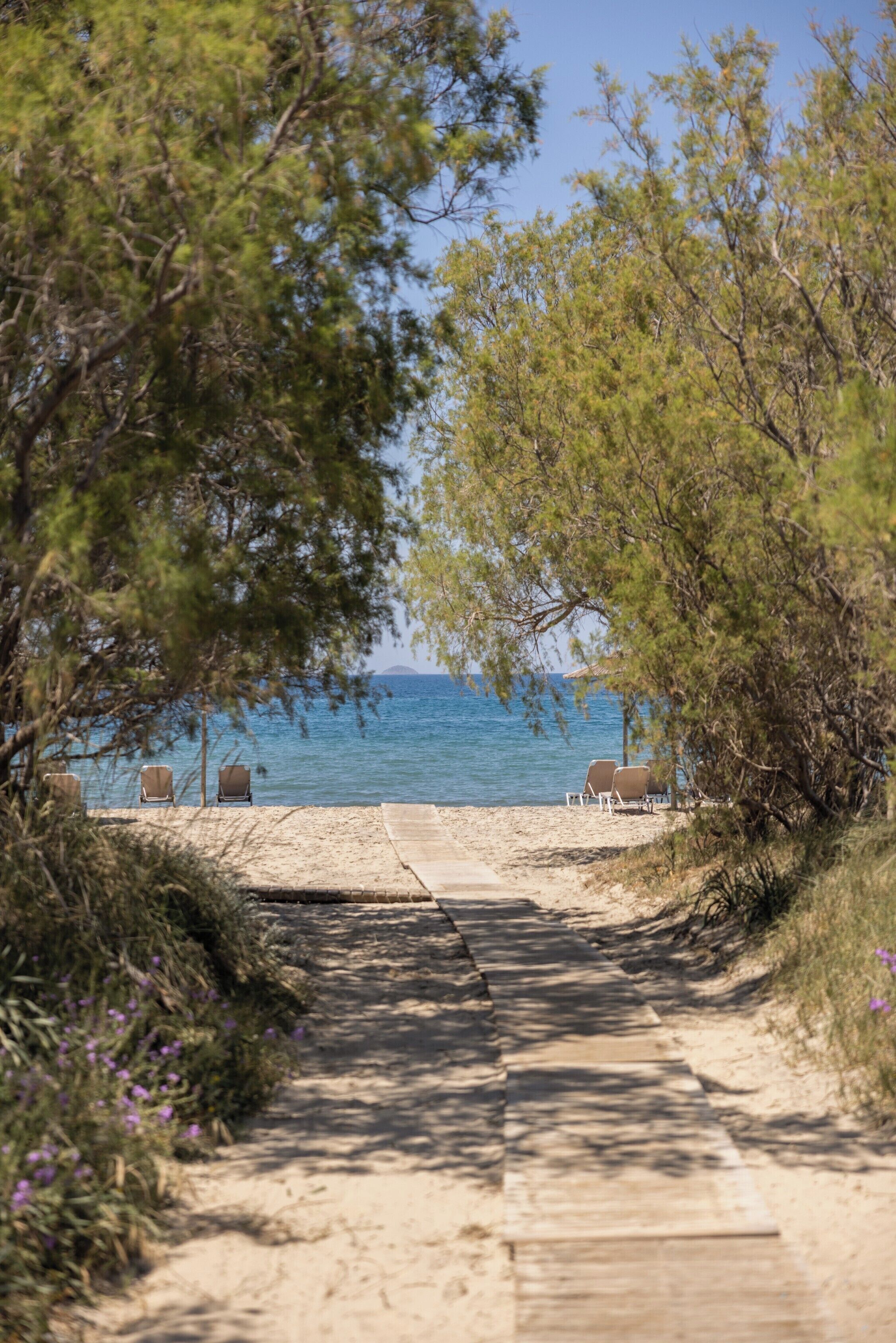 A beach path leading to beach chairs and a view of the sea.