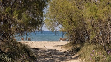Un camí que condueix a gandules de platja sobre sorra, envoltat d'arbres.