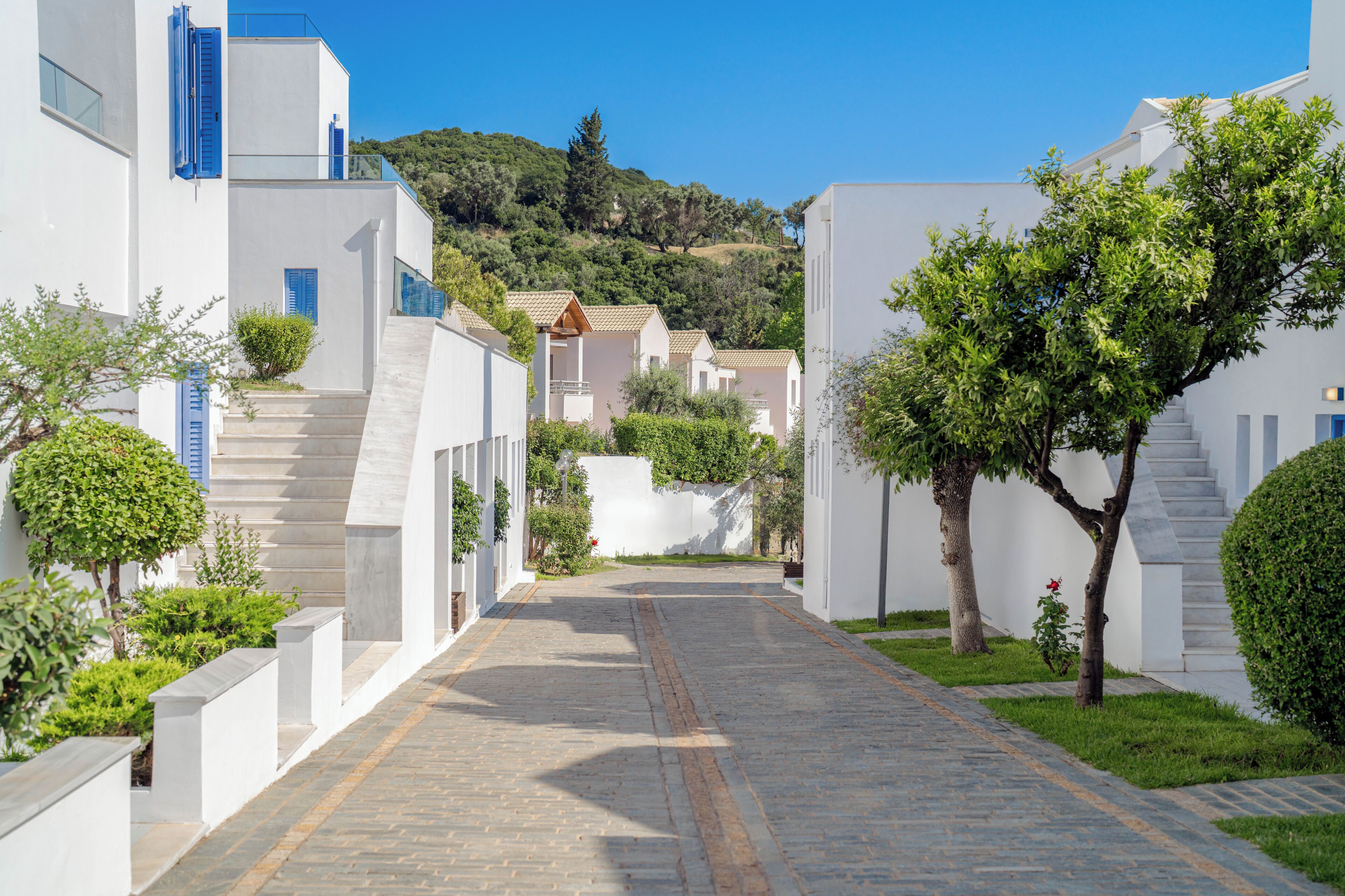 Una calle estrecha bordeada por edificios blancos con contraventanas azules, que conduce a una colina con vegetación.