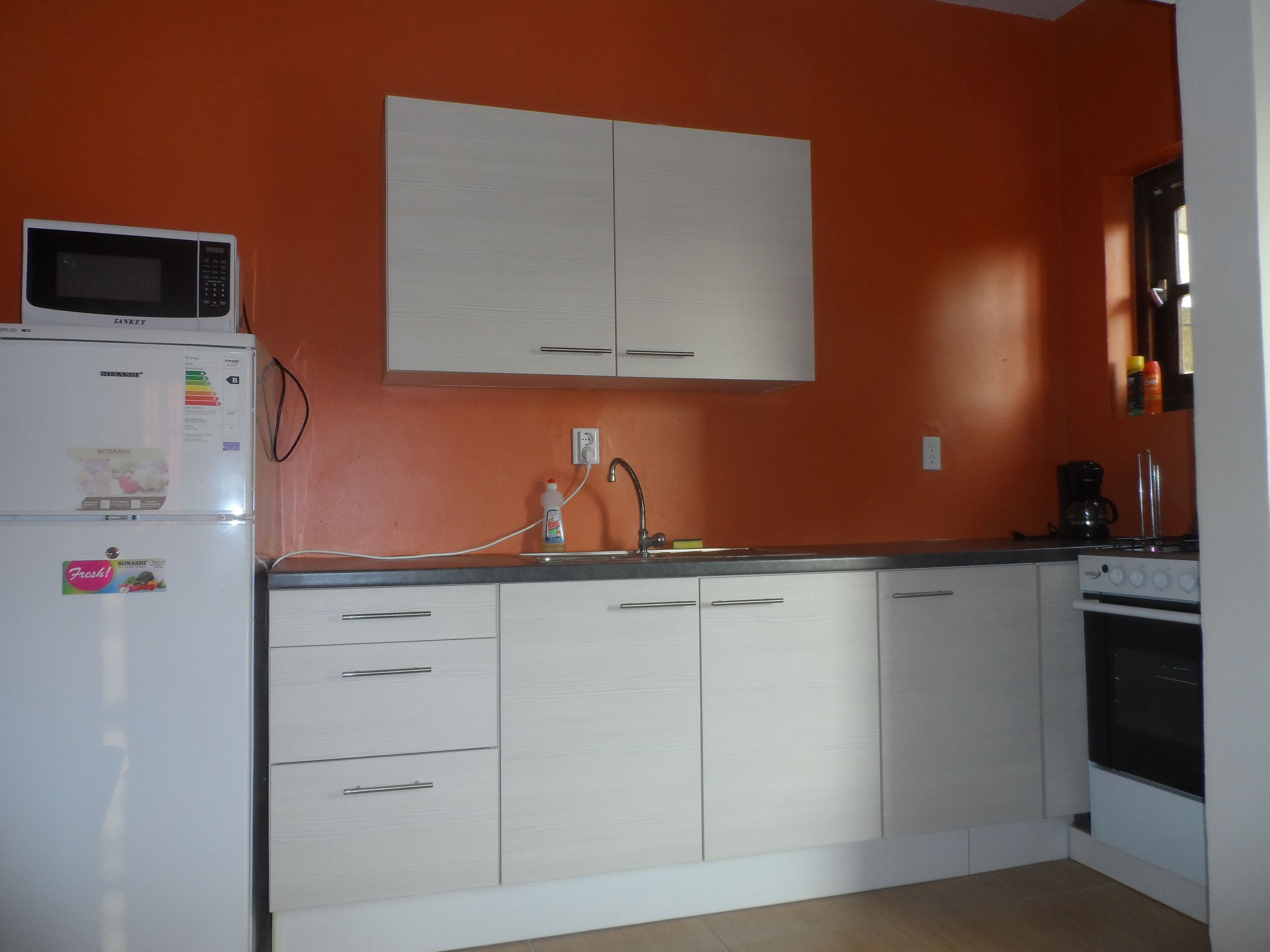 apartment, 2 bedrooms | private kitchen | full-sized fridge, microwave, stovetop, espresso maker