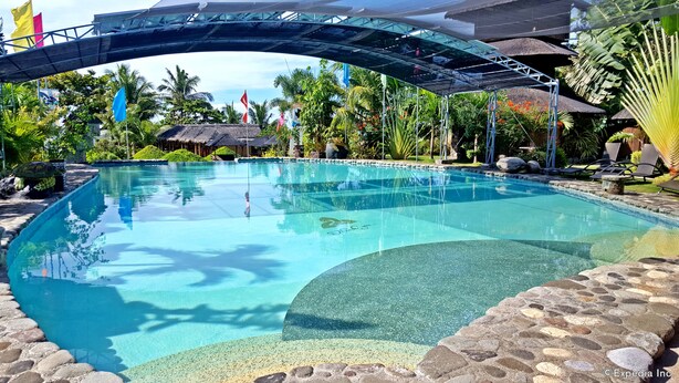 A clear swimming pool with a stone border, surrounded by tropical plants and a thatched-roof structure.