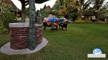 Outdoor wedding area