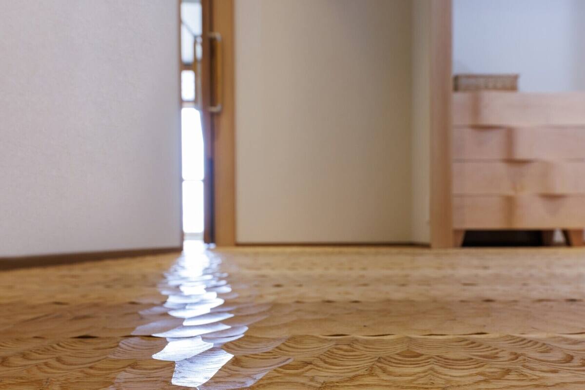 A wooden floor with a reflective pattern, a door, and a stack of boxes in the background.