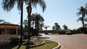 A paved driveway leading to a building with a covered porch and palm trees. - Nandewar Motor Inn (Narrabri)