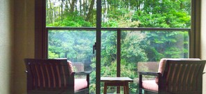 Japanese Style Room with Terrace | View from room - Tatsuta Ryokan (Izu)