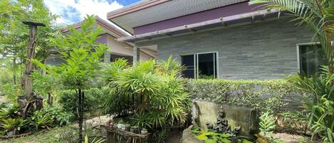 A modern house with a garden featuring a pond, various plants, and a stone sculpture.