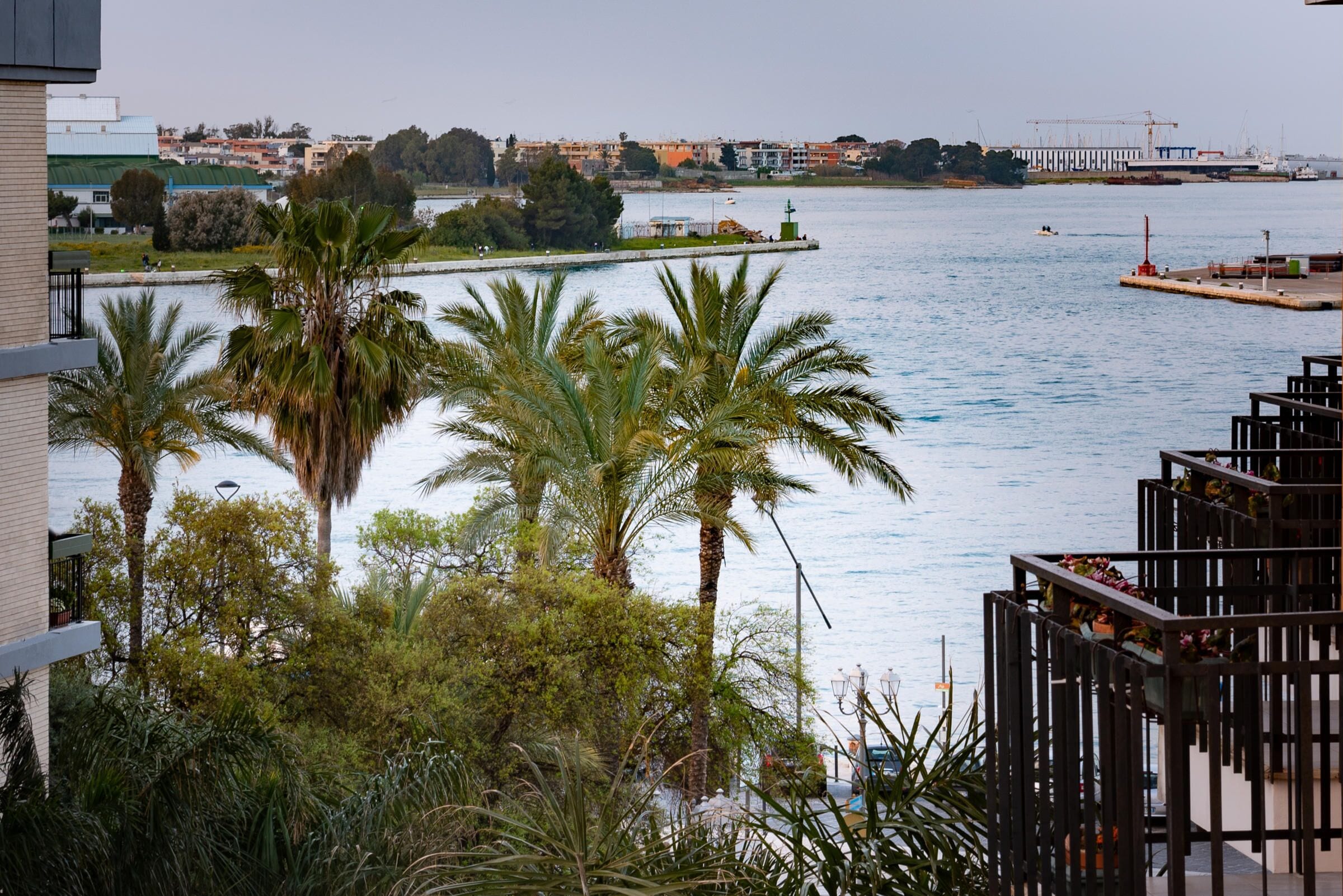 A waterfront view with palm trees and a building with balconies overlooking the water.