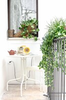 行政公寓 | 露台