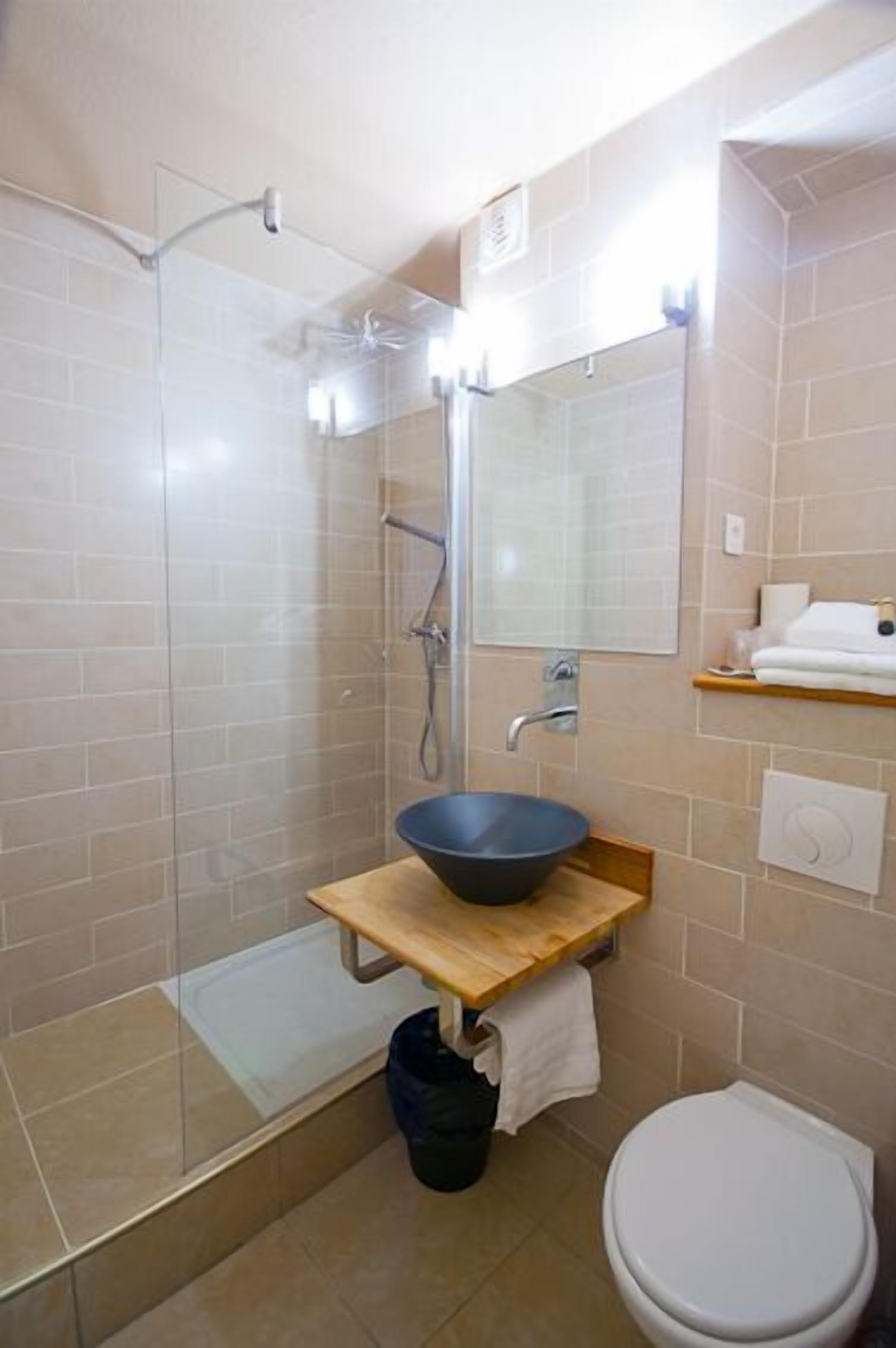 A bathroom with a glass shower enclosure, a wooden vanity with a bowl sink, a white toilet, and a mirror above the sink.