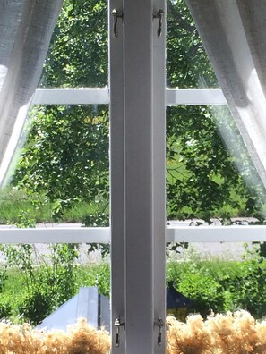 A window with a view of greenery outside.