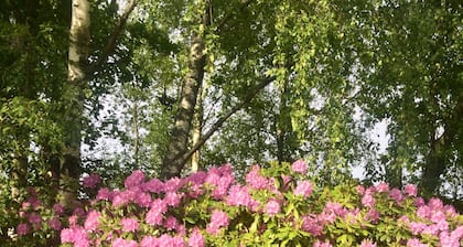 Swedish Idyll