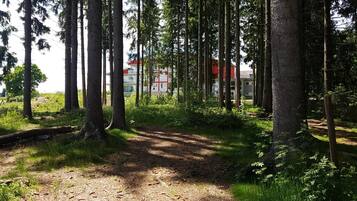 Ein bewaldetes Gebiet mit einem Feldweg, der zu einem Gebäude mit rotem Dach führt.